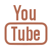 icons8-youtube-logo-100 (1)